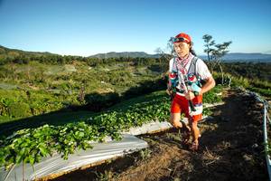 BIB: 
                            <button type="button" onclick="openModal(19110366)" class="btn btn-primary btn-sm float-right btn-popup" data-toggle="modal" data-target=".modal-high-quality">
                        <i class="fas fa-shopping-cart"></i> Add to Cart
                    </button>
                                            <button type="button" onclick="isThisMe(19110366, true)" class="btn btn-success btn-sm float-right btn-popup btn-isme hidden" data-toggle="tooltip" data-placement="bottom" title="นี่คือรูปของคุณใช่ไหม คลิกที่นี่เพื่อเอาเข้าอัลบั้ม">
                        <i class="fas fa-plus"></i> Add to album
                    </button>
                    <button type="button" onclick="isThisMe(19110366, false)" class="btn btn-warning btn-sm float-right btn-popup btn-isnotme hidden">
                        <i class="fas fa-ban"></i> Remove from album
                    </button>